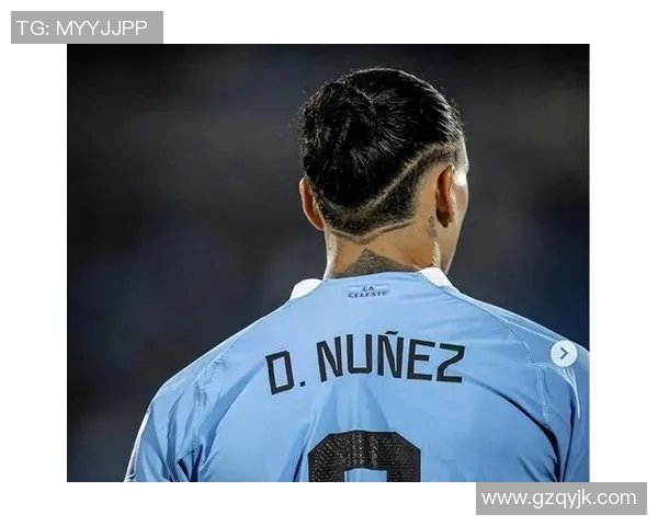 努涅斯在赛场上的崛起与挑战解析，未来能否成为足球界的新星